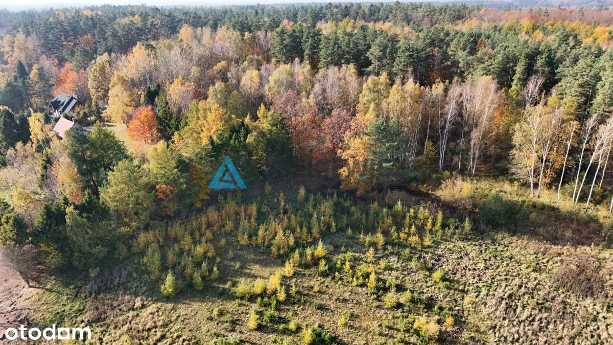 Działki graniczące z lasem Otomin - Pełny obrazek: 4/20