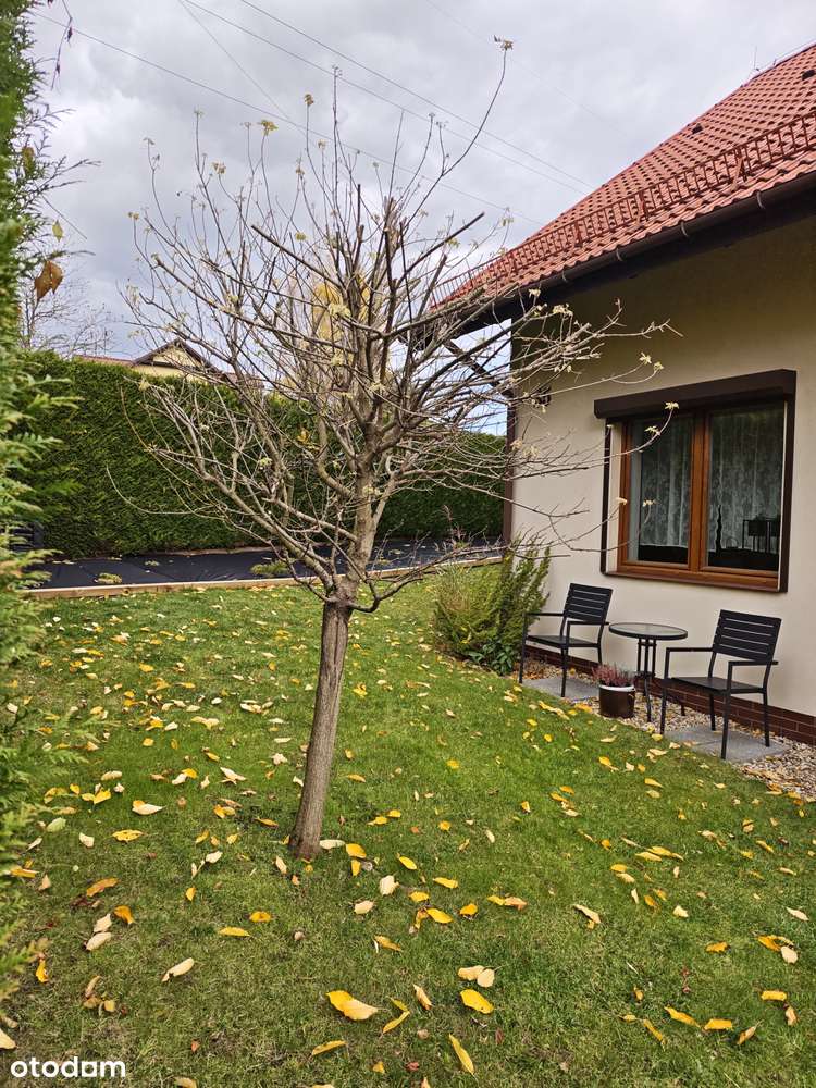 Dom w zabudowie szeregowej –  Bielsko-Biała, ul. Św. Jadwigi Śląskiej-3