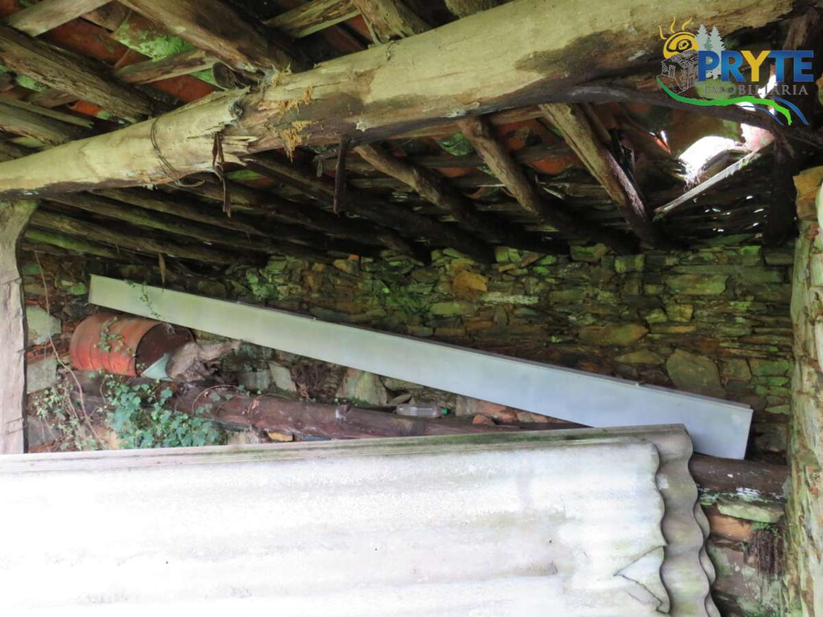 Terreno com árvores de fruto praticamente plano situado perto da Sertã - Grande imagem: 2/30