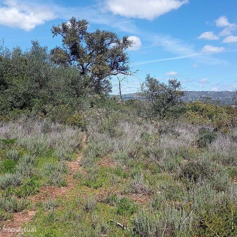 Terreno  para venda - Grande imagem: 4/8