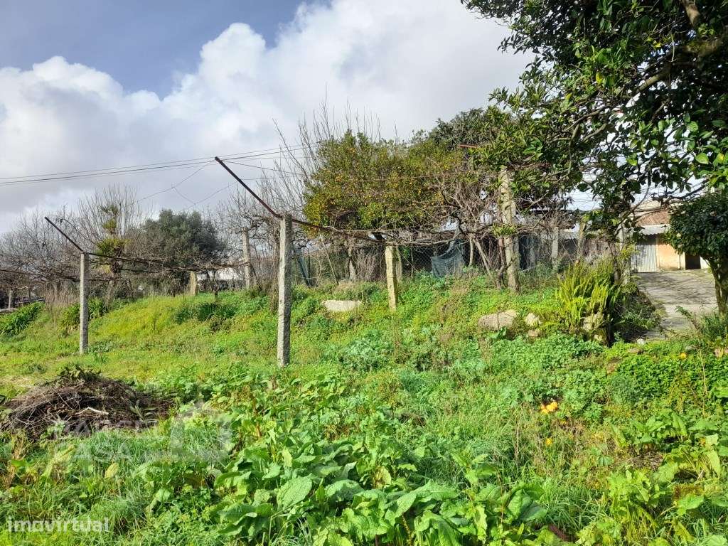 Propriedade em Galegos (Santa Maria) - Barcelos-12