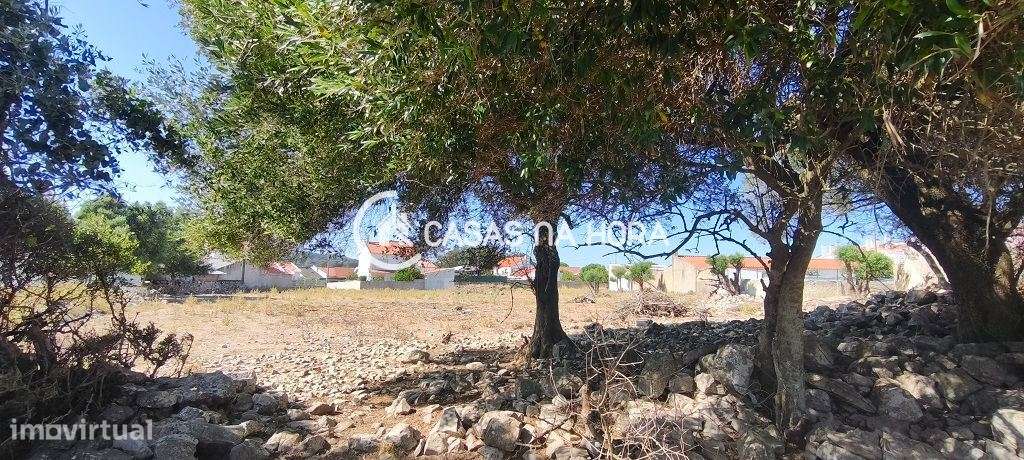 Terreno para Promoção Habitacional | Abrunheira  Sintra-18