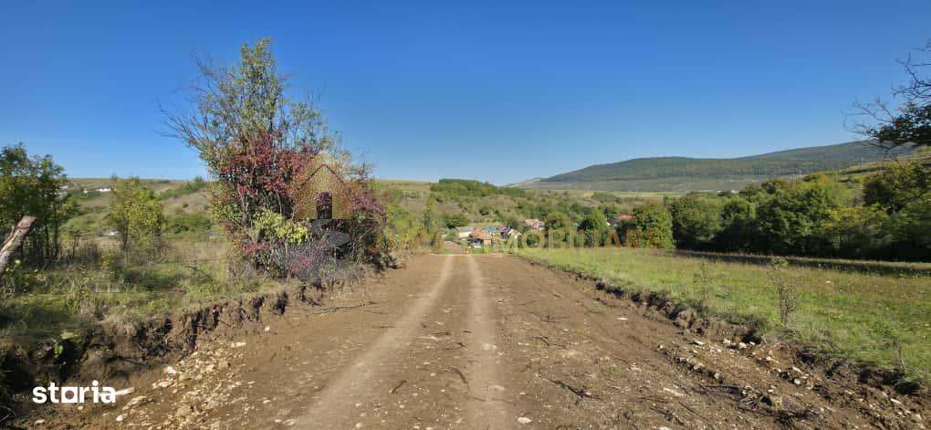 TEREN INTRAVILAN 11000 MP - Imagine principală: 5/9