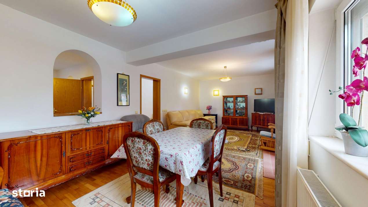 Vila unde diminetile incep cu liniste, nu cu trafic – Iancu Nicolae-3