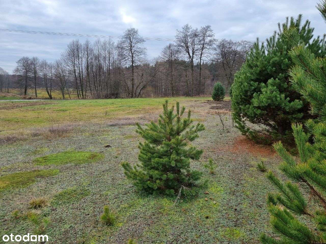 Działka budowlana Pradła, gm. Kroczyce - Nowa cena. - Pełny obrazek: 5/5