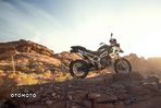 Triumph Tiger - 26