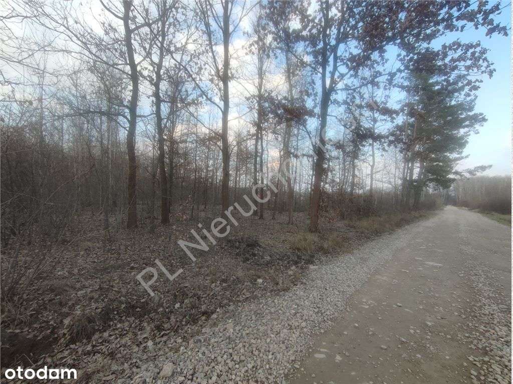 Duża działka budowlana- Janinów, gm. Grodzisk Maz. - Pełny obrazek: 4/4