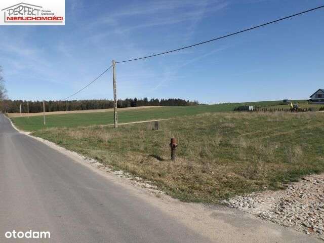 Działki blisko lasu i jeziora. - Pełny obrazek: 5/9