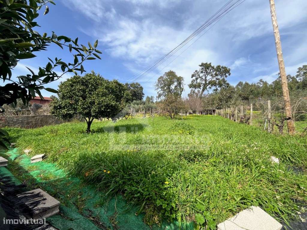 Moradia T3 pronta a habitar em Figueiró dos Vinhos-26