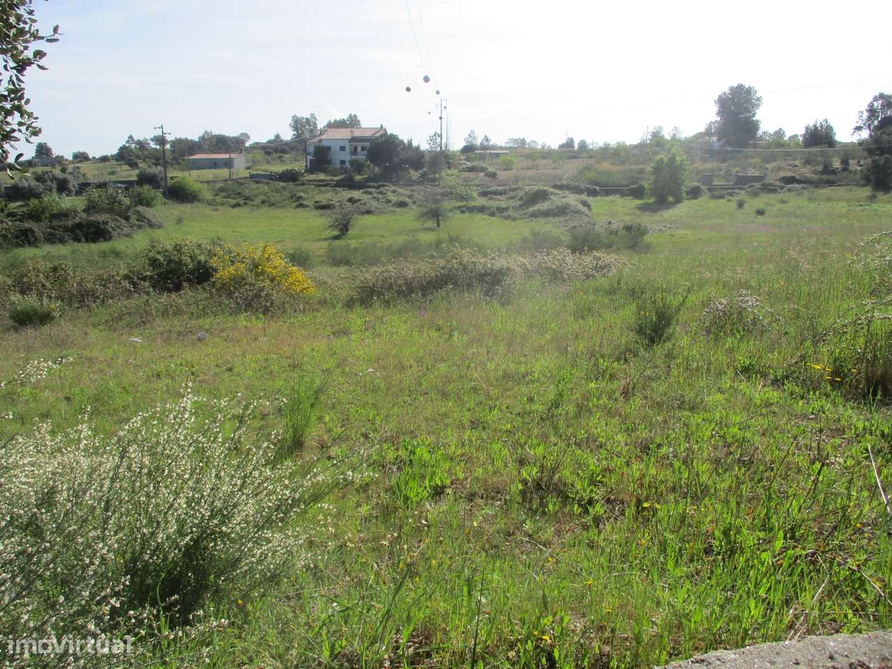 Quinta com habitação, poço, sobreiro, casa-10
