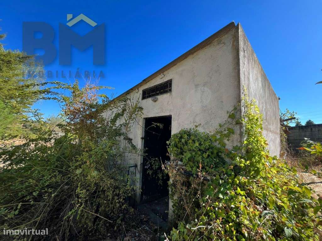 Quinta com 15.500m2 para venda próxima à vila de Alcains! - Grande imagem: 3/28