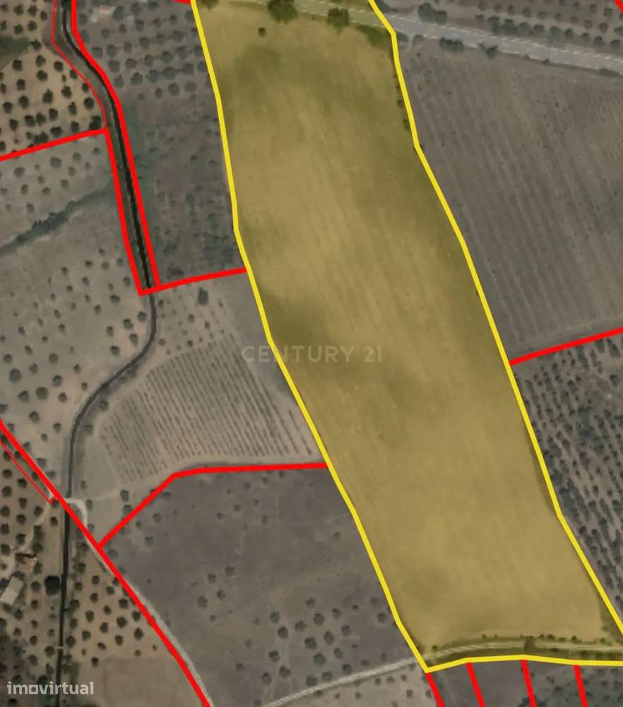 Terreno Rústico com 3,8HA em Ladoeiro, Idanha-a-Nova - Vista 5