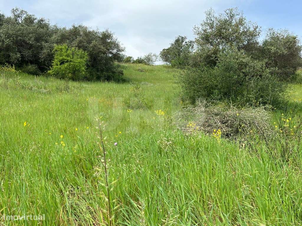 Terreno na Encosta do Castelo de Monsaraz-13