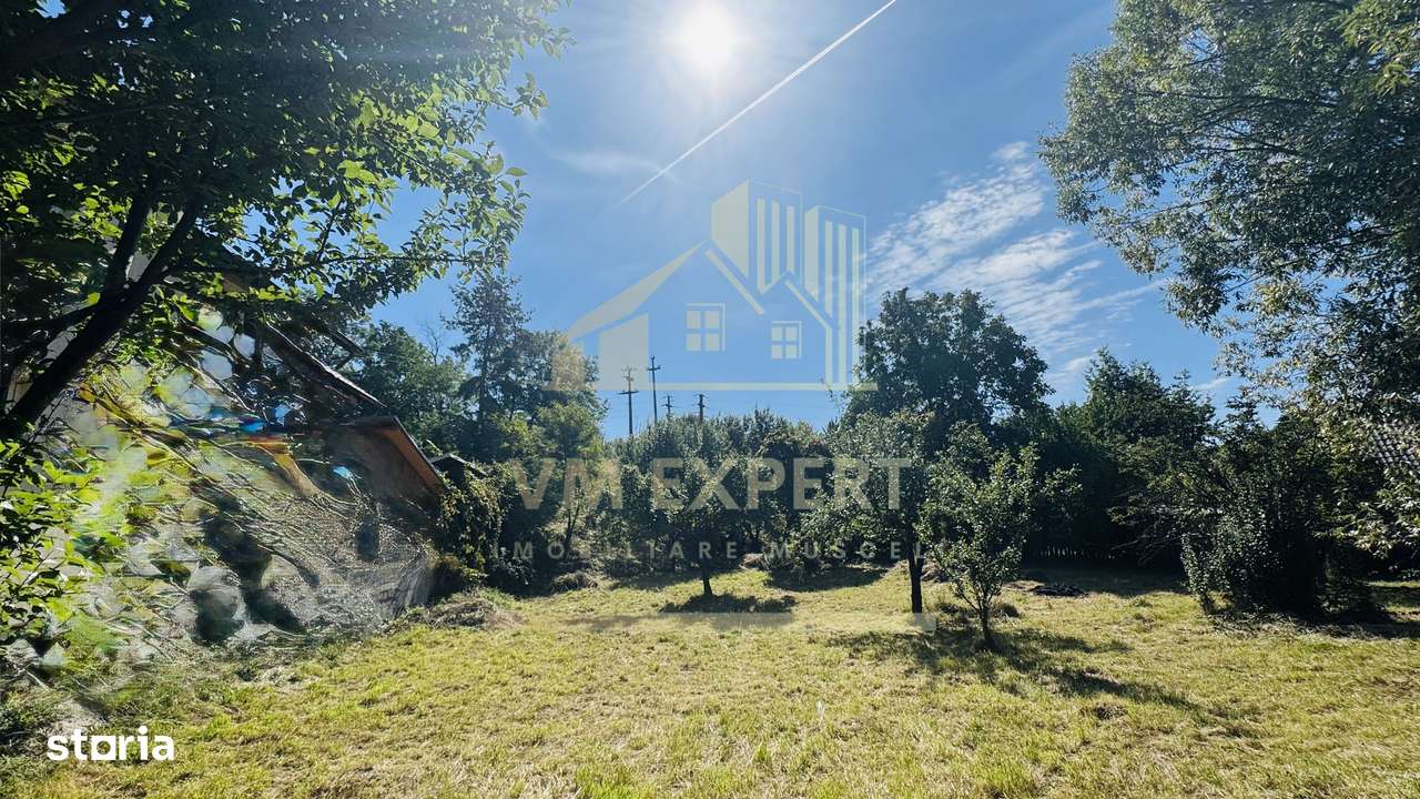 TEREN INTRAVILAN 3234 MP LEREȘTI VOINEȘTI ARGEȘ - Imagine principală: 4/20