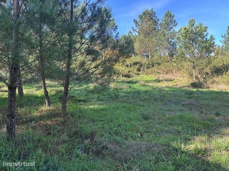 Terreno para construcao - Grande imagem: 4/8