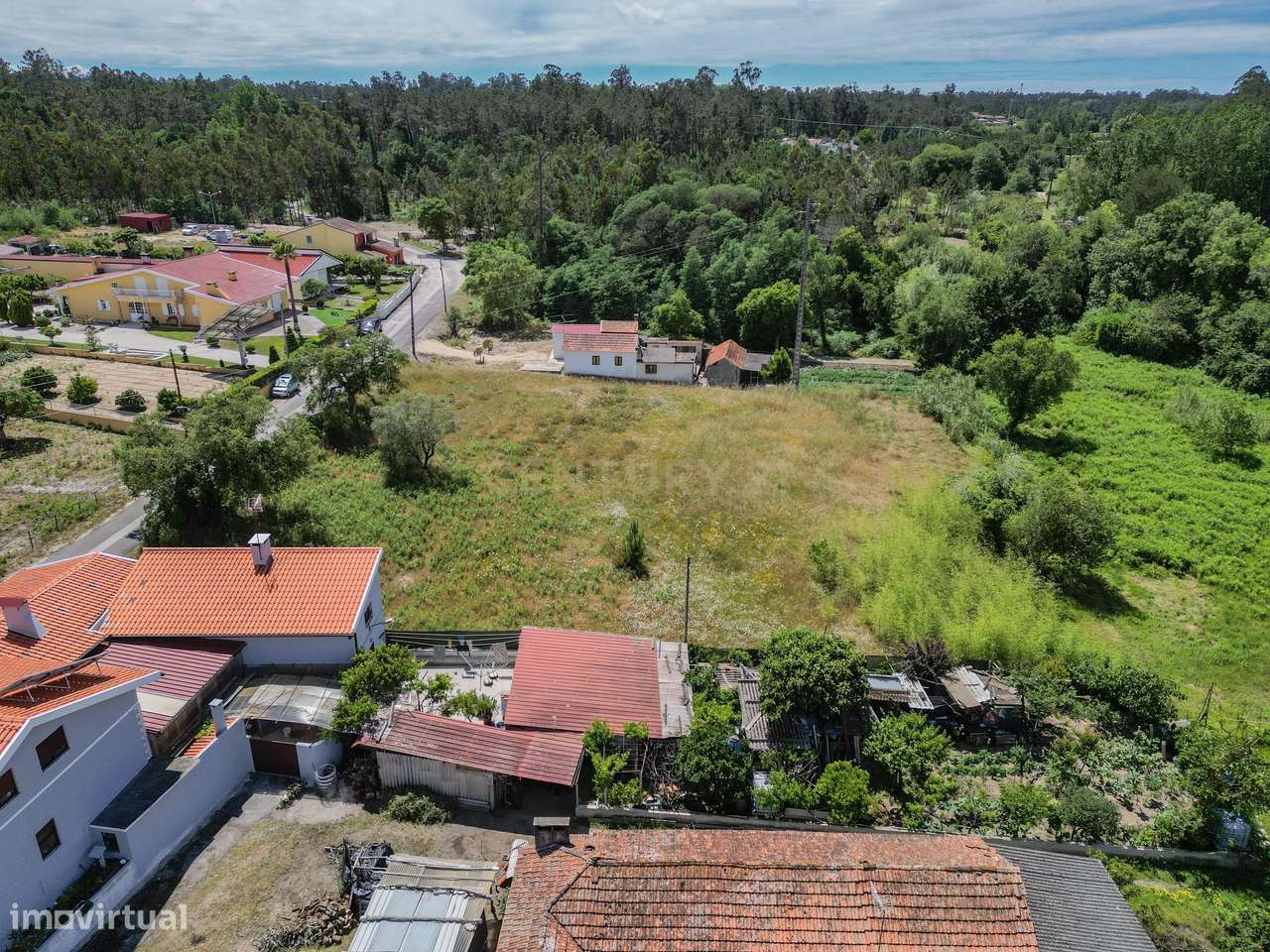 Terreno Rústico em Coimbra - Oportunidade Única por 50.000€ - Grande imagem: 5/25