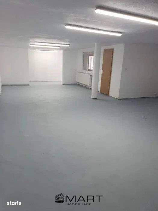 Hala industriala, 90mp zona Gusterita - Imagine principală: 2/6