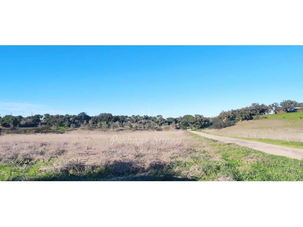 TERRENO RÚSTICO PARA VENDA - UMA OPORTUNIDADE NA SERRA DE GRÂNDOLA-19