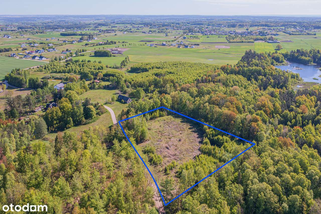 Działka, 11 811 m², Skrzeszewo - Pełny obrazek: 5/15