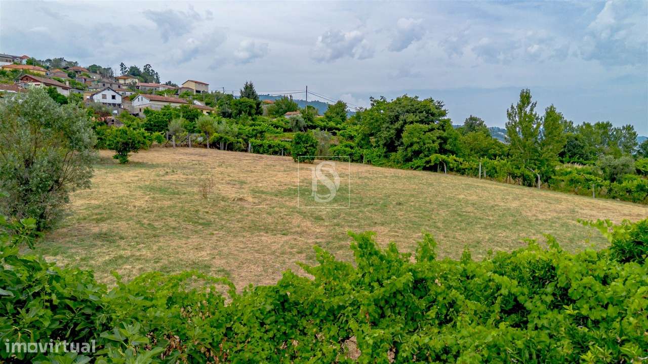 Terreno Para Construção  Venda em Ancede e Ribadouro,Baião-25