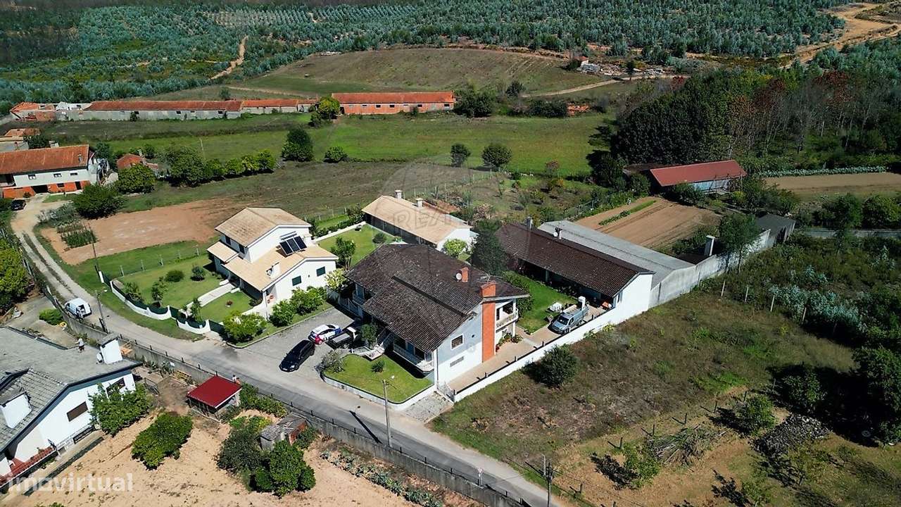 Moradia T3 | Anexo T1 | 628m2 | Lote 2140m2 | 10 min Centro Águeda-46