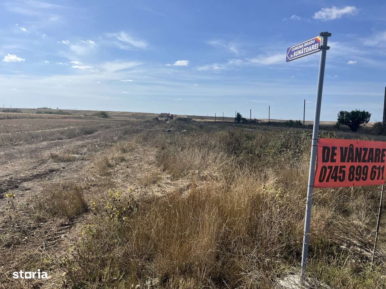 Teren Bradu 470 mp-5