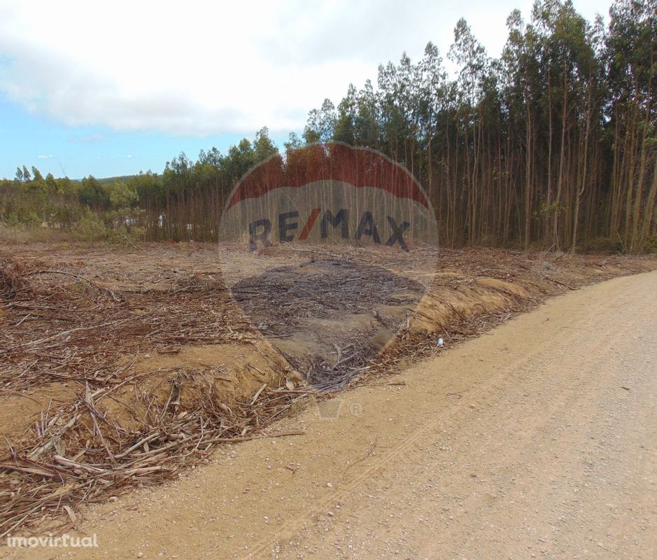 Terreno  para venda