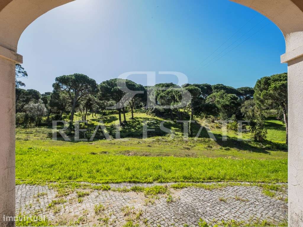 COUNTRY COTTAGE | Sesimbra-44
