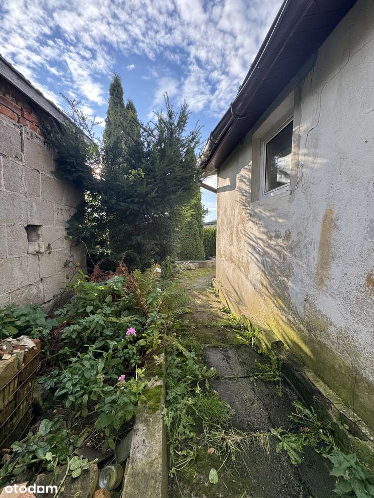 MIESZANIE BEZCZYNSZOWE W WĘGORZYNIE-5