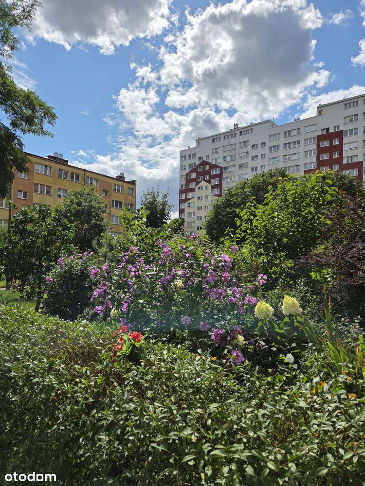 Mieszkanie z potencjałem – 3 pok. z balkonem | 69 m² | os. Kopernik-17
