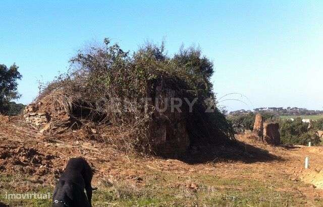 Herdade da Afeiteira - Grande imagem: 2/8