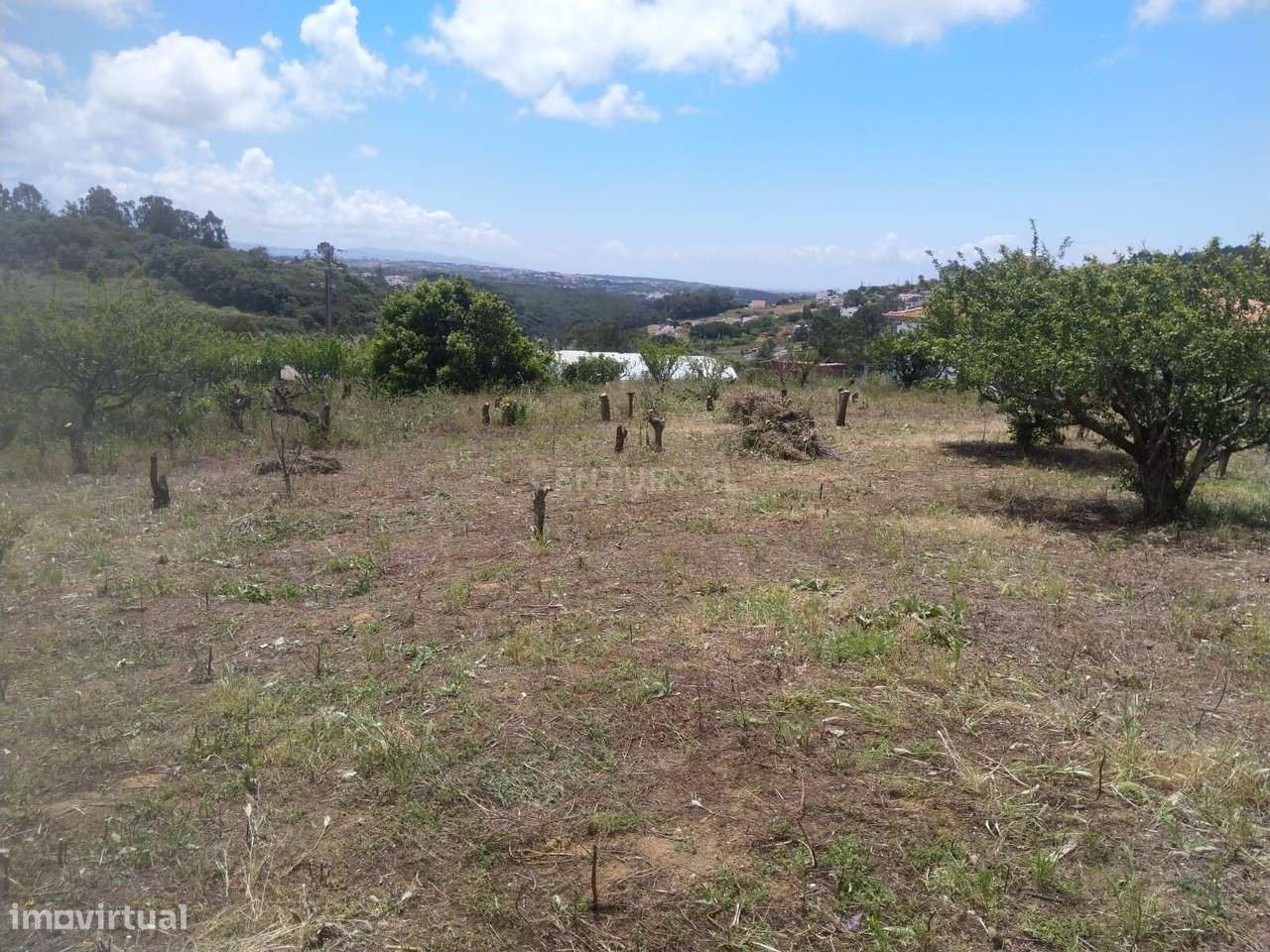 Terreno urbanizável com 2383 m2 a cinco quilómetros da Ericeira - Grande imagem: 2/8