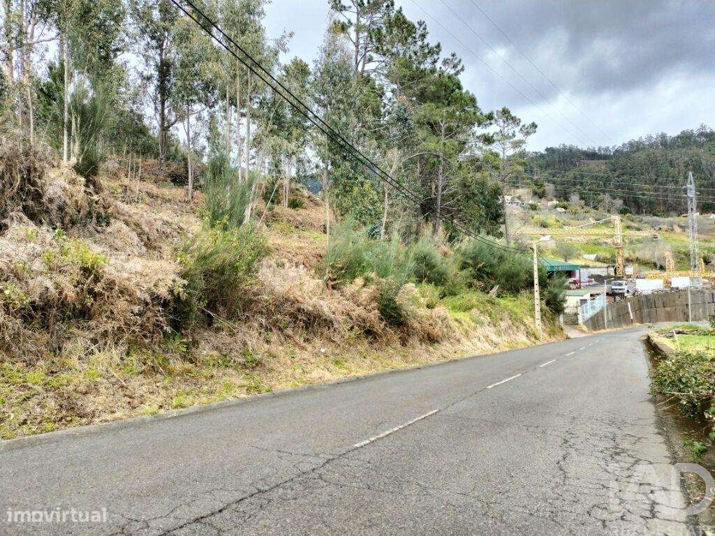 Terreno em Canhas de 4430,00 m2 - Grande imagem: 4/23