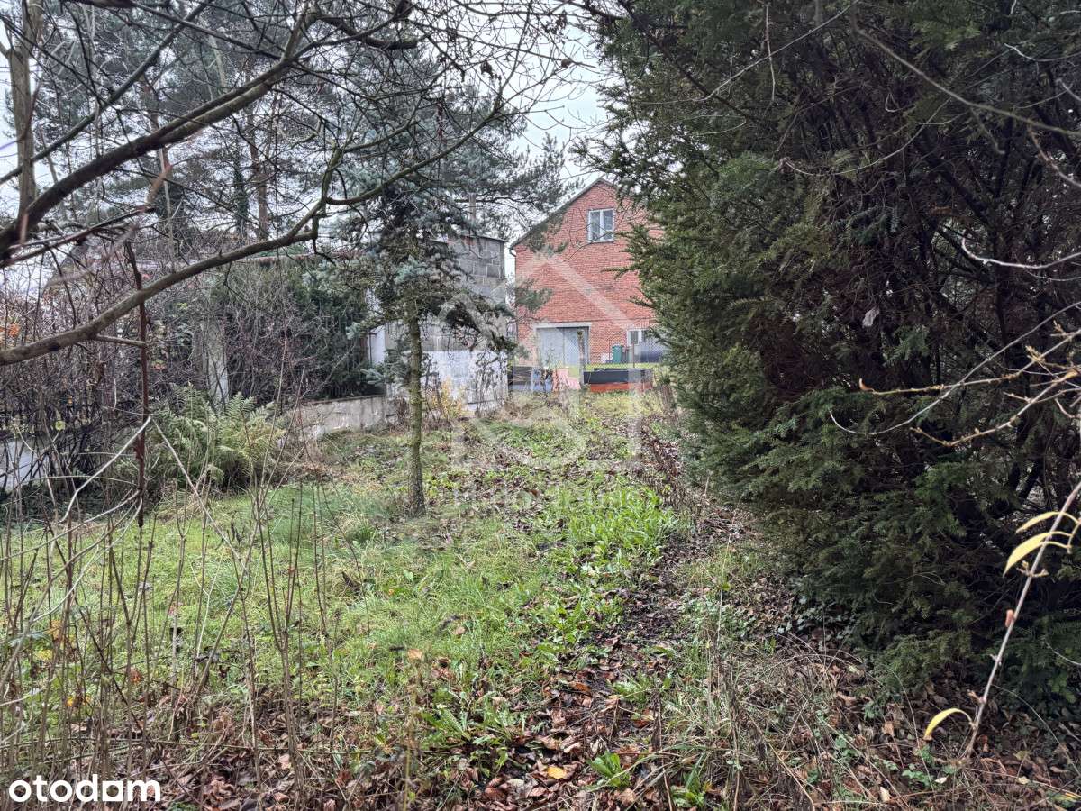 Dom do kapitalnego remontu | Duża działka |-8
