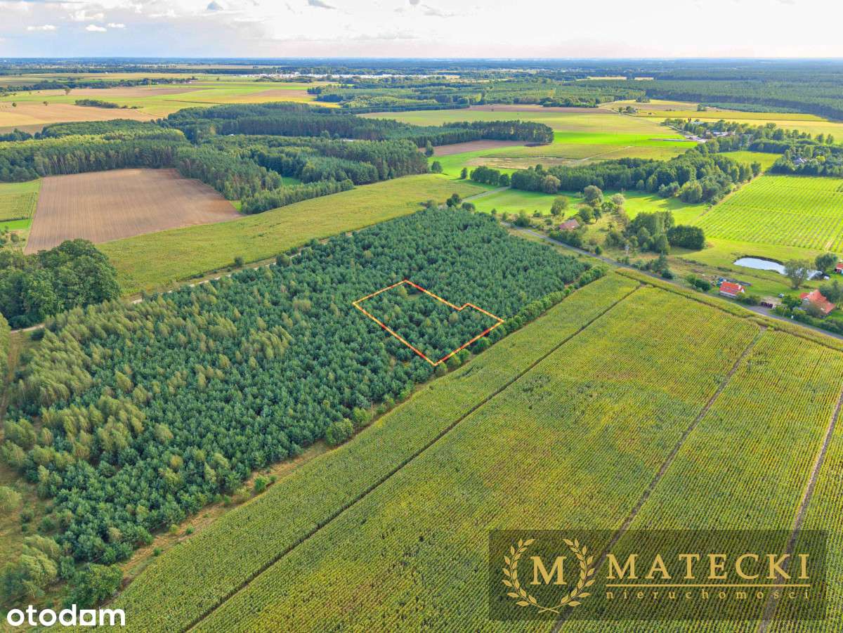 Wyjątkowa, duża działka z drzewami-13