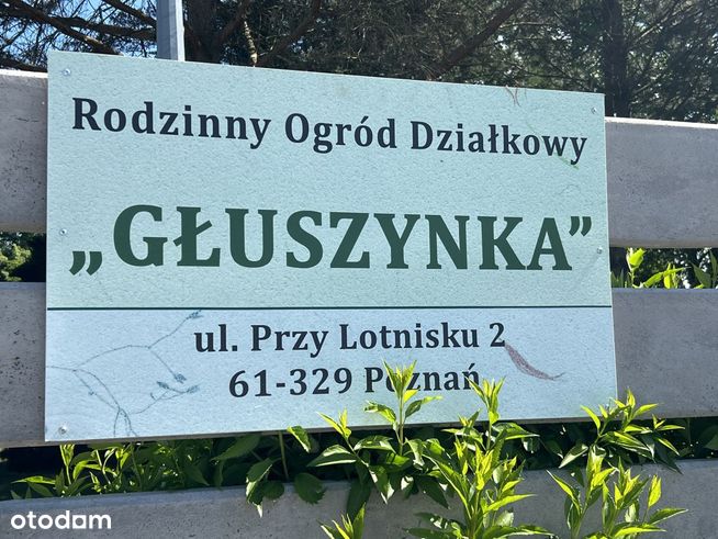 Rod Głuszynka działka nr 354