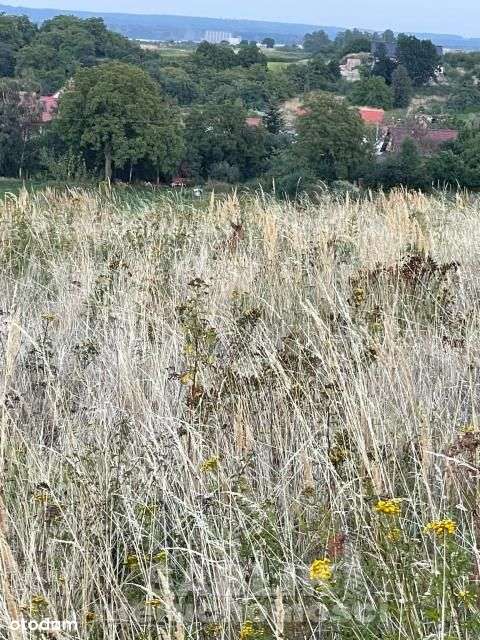 działka budowlana, 12 600 m2,Kuropatnik, Gmina Str - Pełny obrazek: 4/11