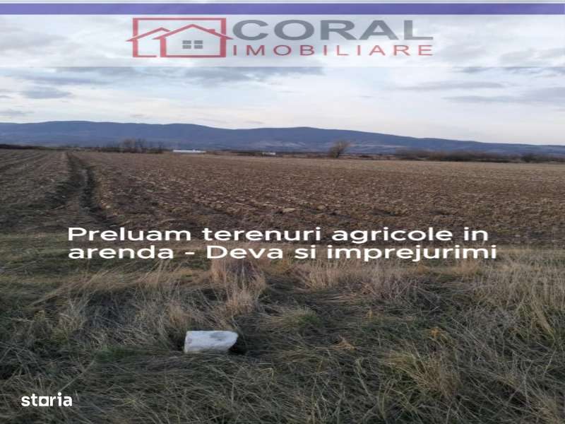 Preluam terenuri agricole in arenda - Deva si imprejurimi-2