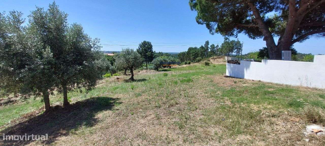 Terreno Rústico - Praia do Ribatejo, Vila Nova da Barquinha - Grande imagem: 4/5