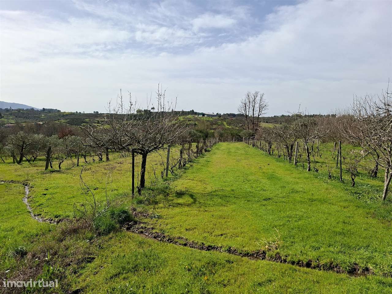 Quinta com 2Ha em Vila Cortês da Serra, Gouveia-11