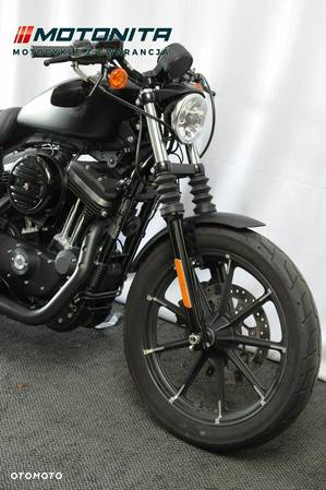 Harley-Davidson Sportster Iron 883 - 3