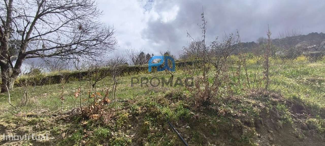 Terreno Urbanizável de 7959 m² com Armazém-22