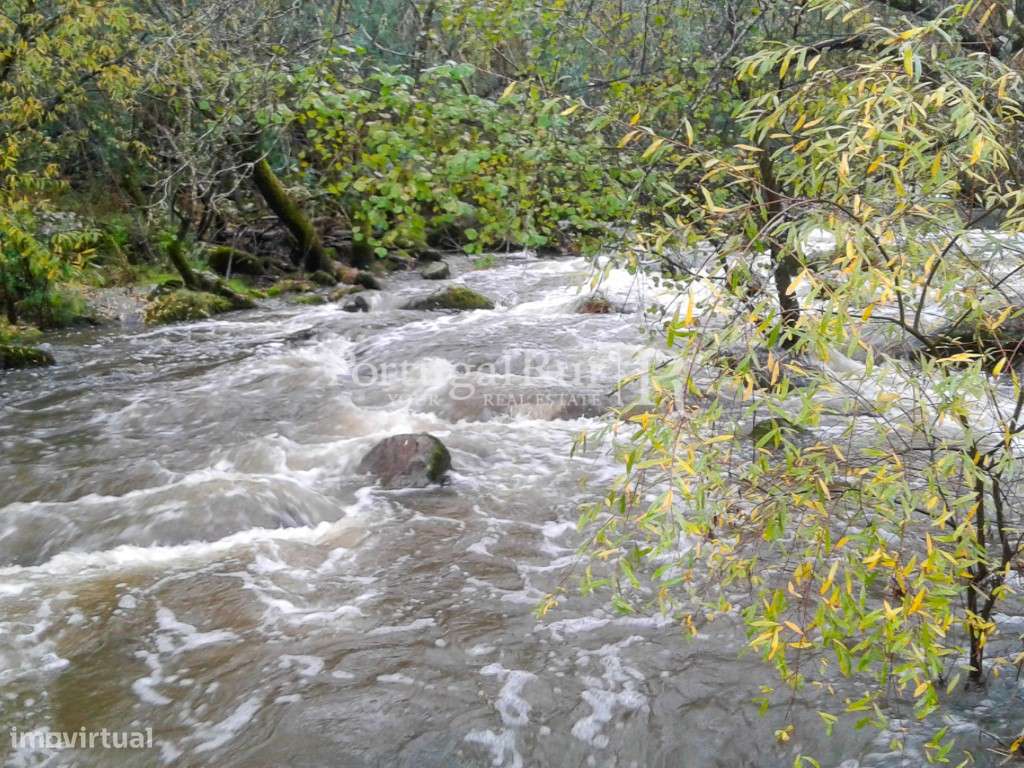 Quinta Rural 8.000 m2 - 2 Casas Habitáveis - confina com Ribeira-31