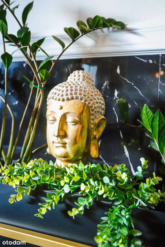 Dom w stylu Glamour, na sprzedaż, gm.Stara Biała-13