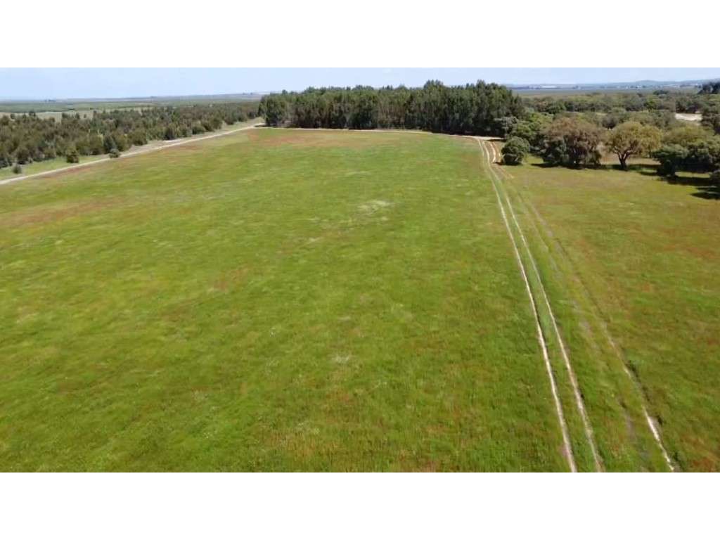 TERRENO DE 22,45 HA COM RUÍNA DE 240 M² PARA RECUPERAÇÃO EM FERREIR...-18