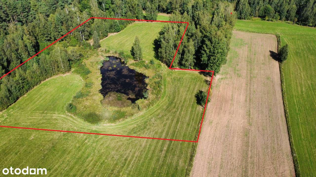 Przerośl - działka pod lasem - staw - 4 zł/m2-3