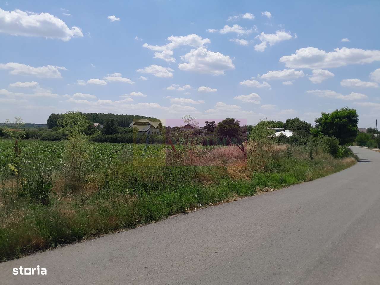 TEISORI /GR - 2 LOTURI LIPITE (TOT. 16500 MP) DE VZ 100K EUR NEG - Imagine principală: 2/11