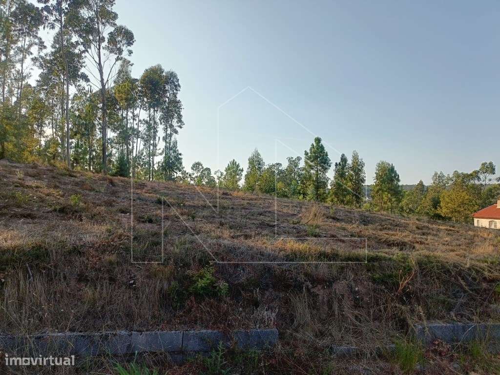 Terreno Urbano com Projeto Aprovado - 2414m² | Águeda - Grande imagem: 5/9
