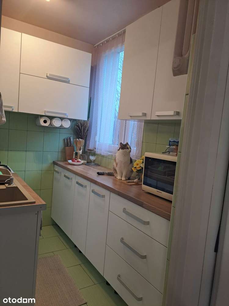 Bardzo ładna kawalerka na Dąbrowie , do wprowadzenia, do negocjacji-6