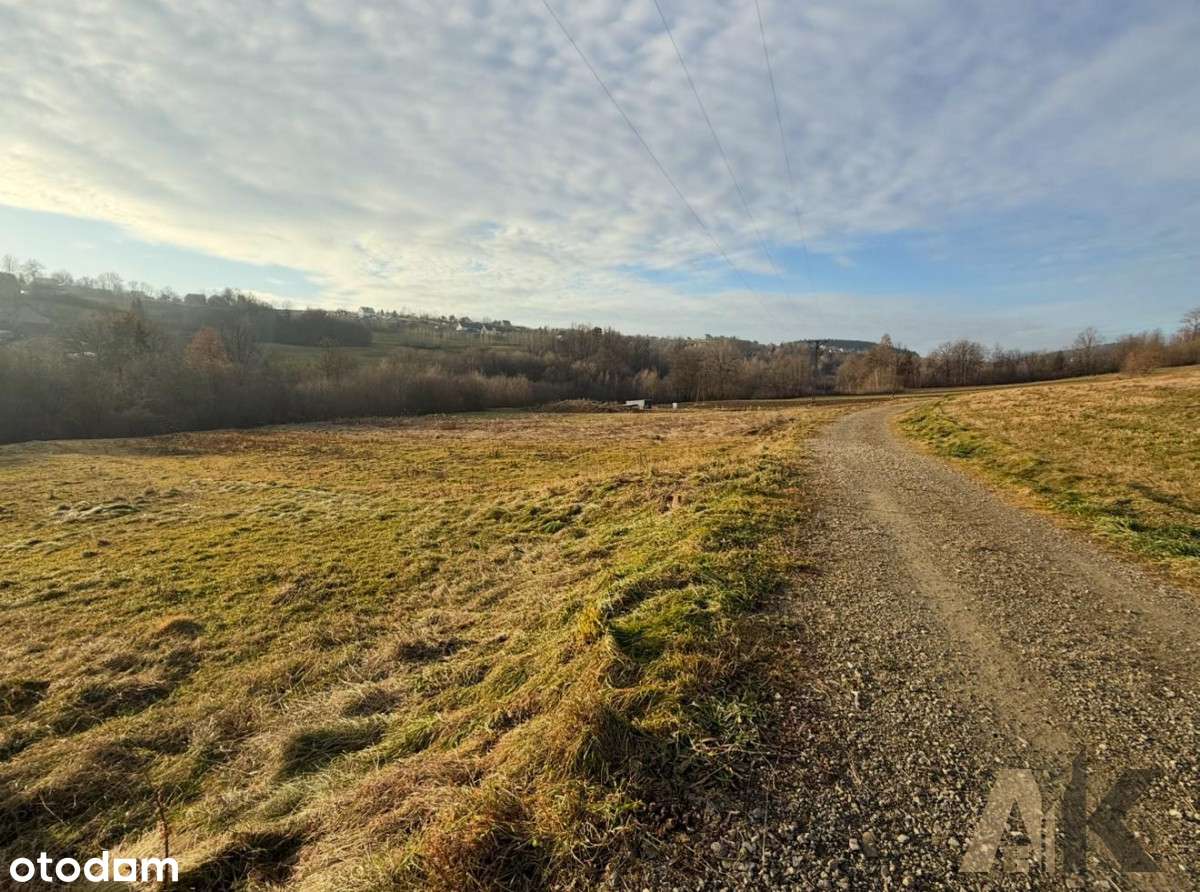 Działka budowlana w Brzeznej : Spokój w pakiecie-1